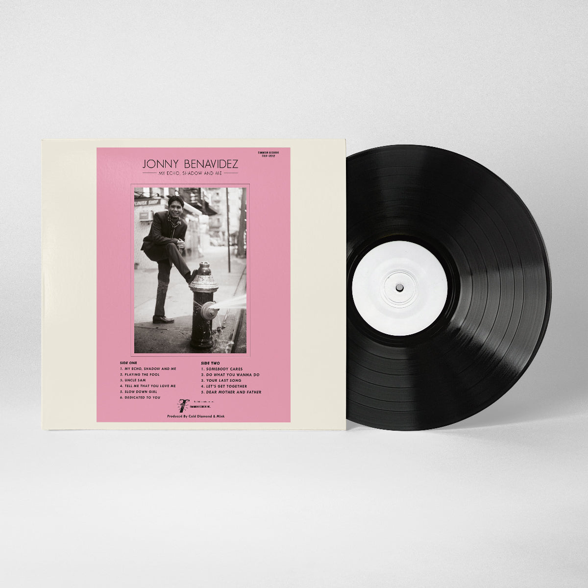 My Echo, Shadow and Me